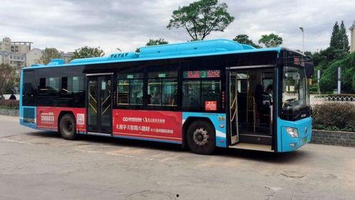 3路公交车爆料新闻视频,揭秘城市交通背后的故事  第1张