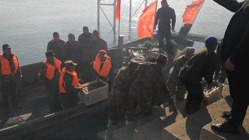 瓦房店新闻爆料事件,真相与舆论的交织